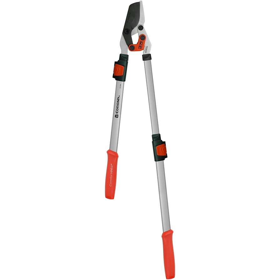 SABBATICAL ルピネL 340-3V-MB | Z-Lite